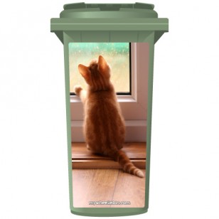 Kitten Looking Through A Rainy Window Wheelie Bin Sticker Panel